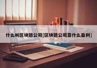 什么叫区块链公司[区块链公司靠什么盈利]